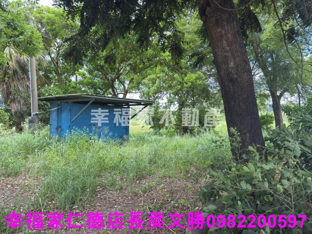 台南新市農地-2