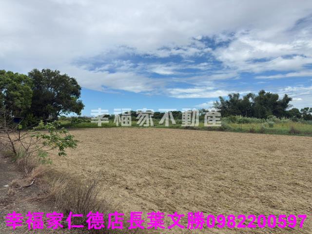 台南新市農地-4
