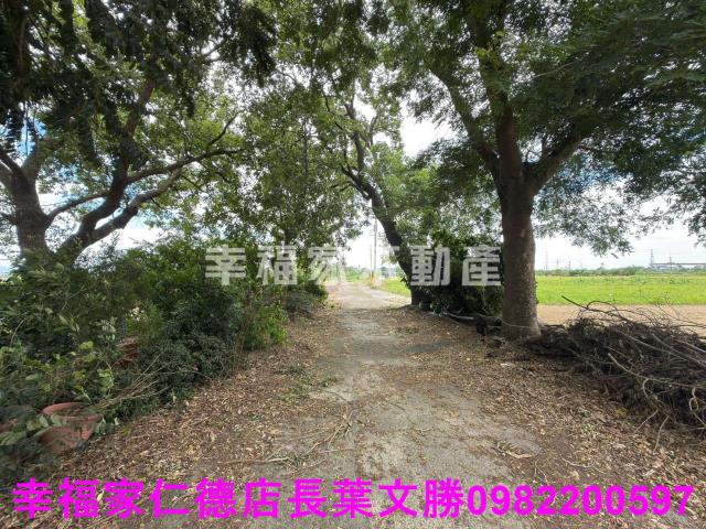 台南新市農地-7