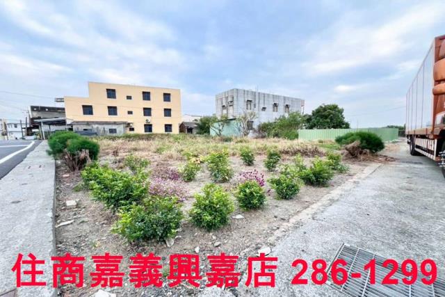 嘉義溪口建地-3