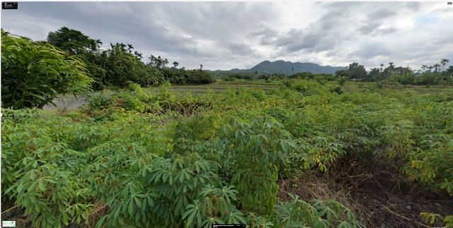光復法拍光復農地光復土地