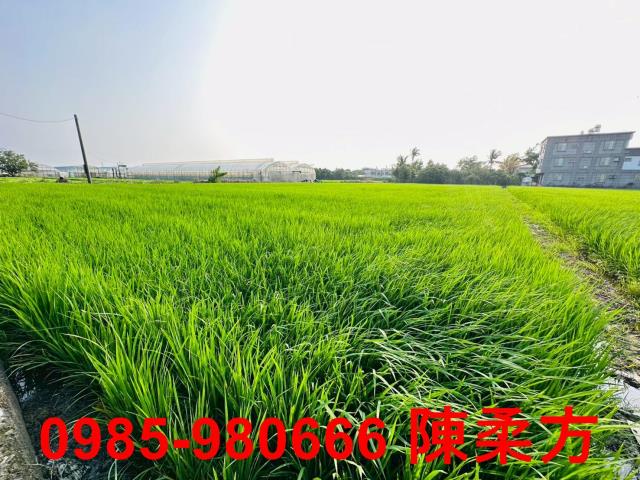 太保建地-5
