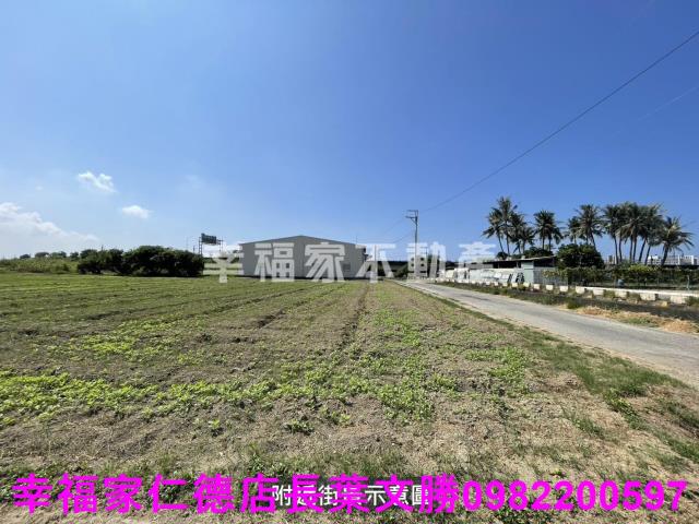 仁德農地-10