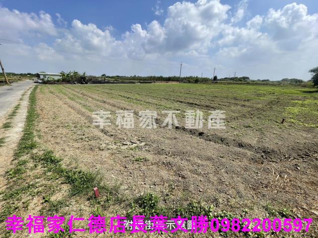 仁德農地-12
