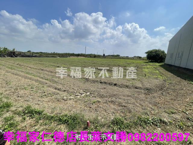 仁德農地-3