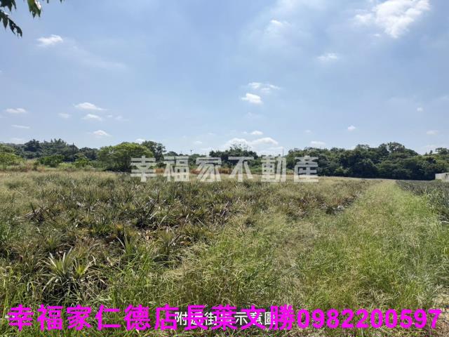 新市農地-9