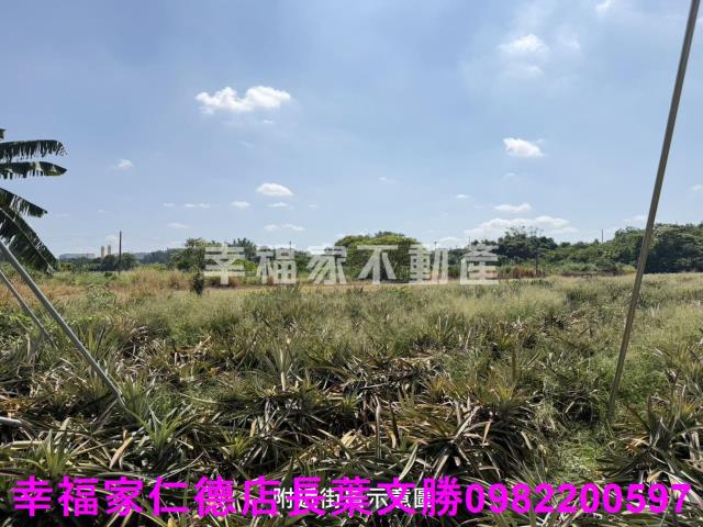 新市農地-12