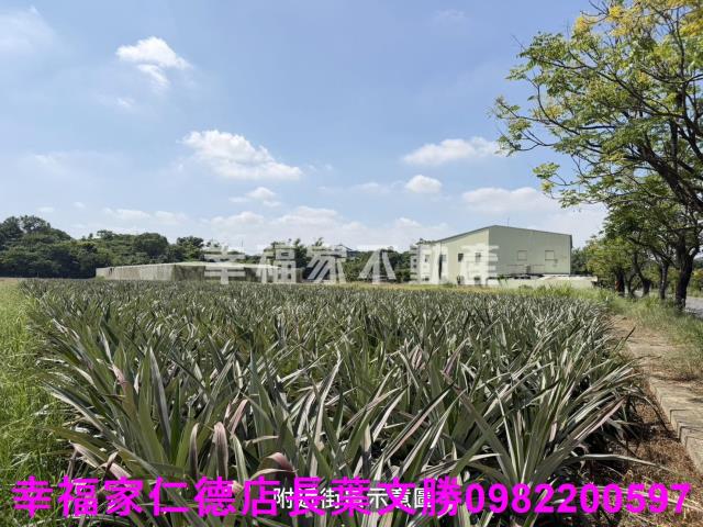 新市農地-2