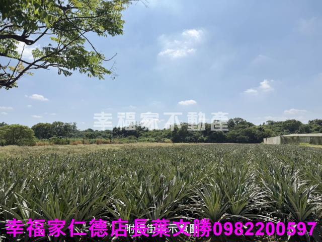 新市農地-7
