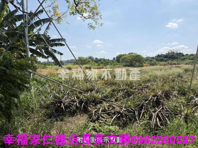 新市農地-8