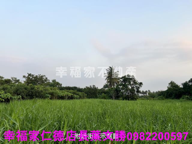 歸仁農地-12
