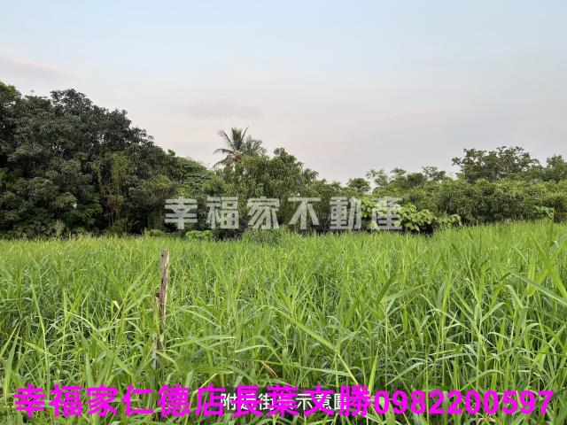 歸仁農地-1