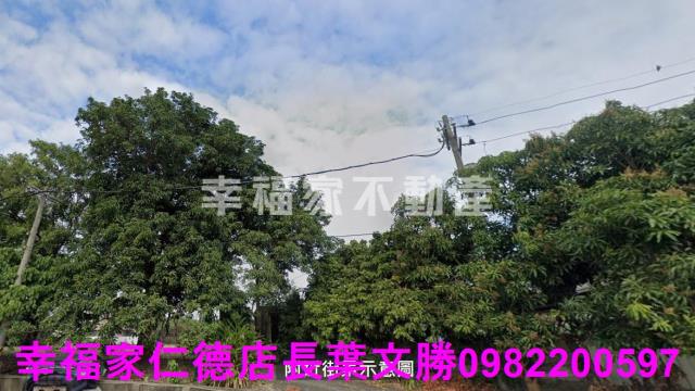 歸仁農地-2
