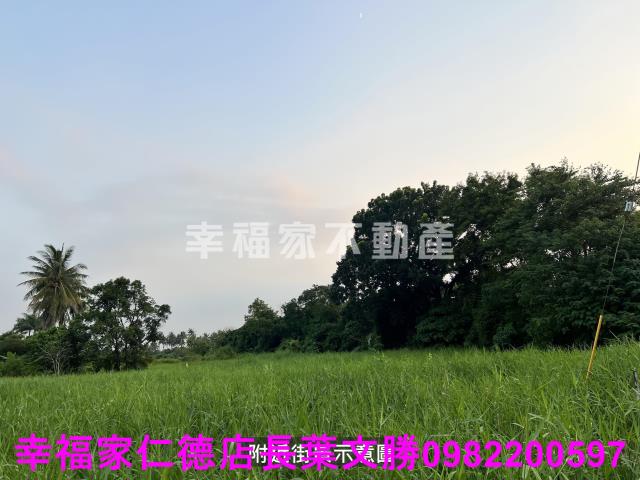 歸仁農地-7