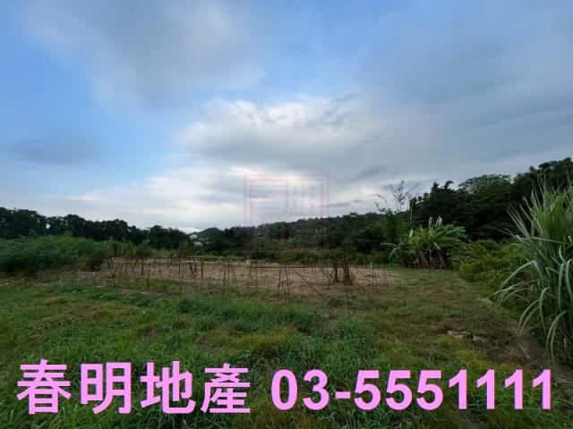 新竹農地-7