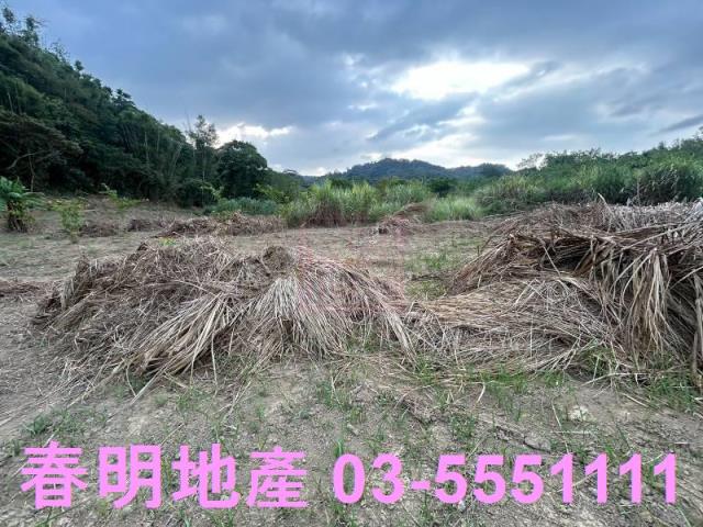 新竹農地-8