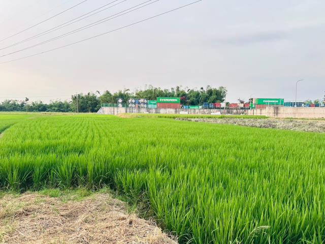 嘉義民雄農地-4