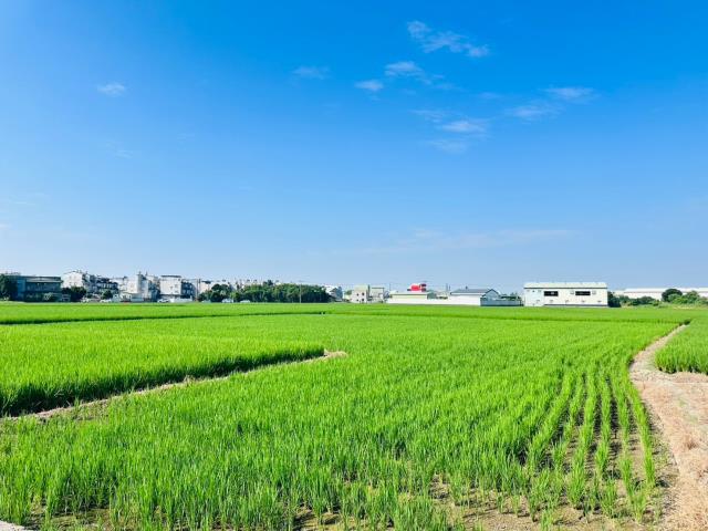 嘉義西區農地-4
