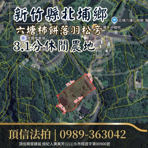 新竹北埔農地法拍-2