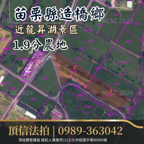 苗栗造橋法拍農地-2