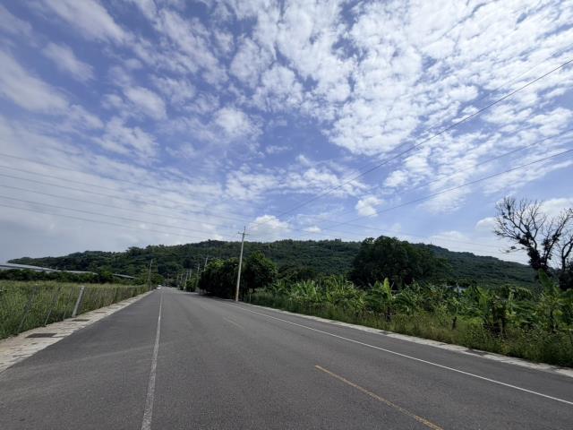 高雄阿蓮農地-3