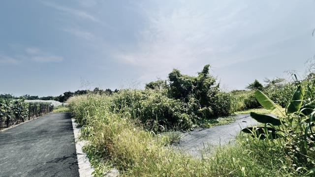 高雄燕巢農地-4