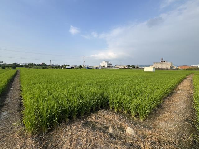草屯北投埔雙面路田地