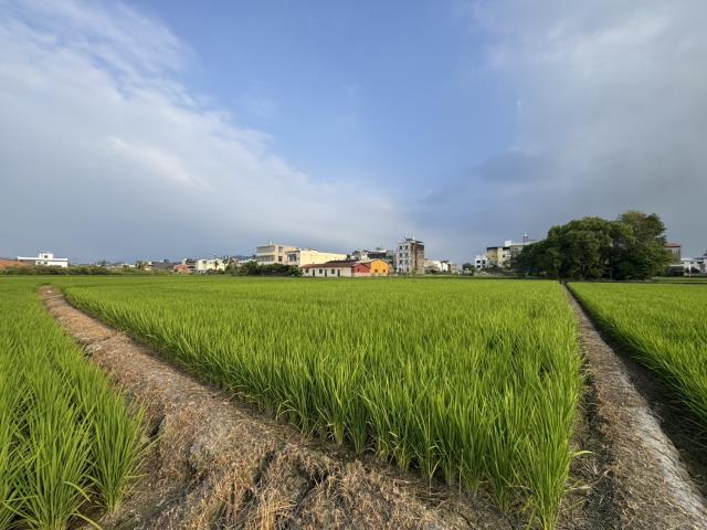 南投草屯農地-1