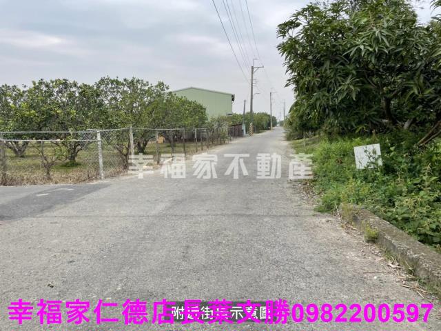 麻豆農地-12