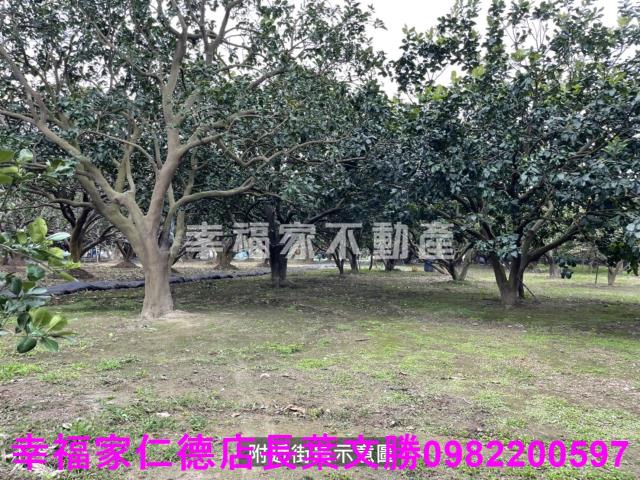 麻豆農地-3