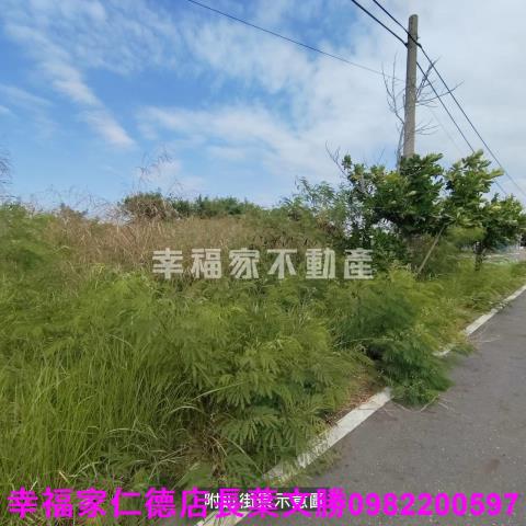 七股道路地-12