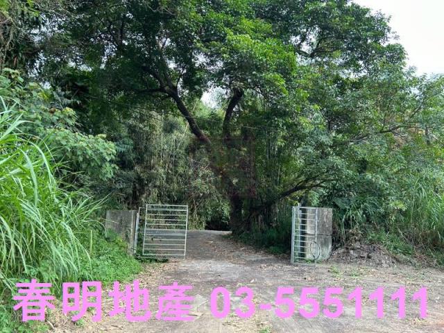 關西農地-4