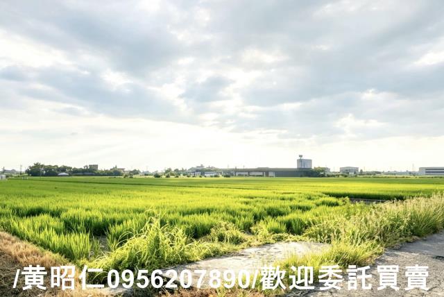 柳營農地-1