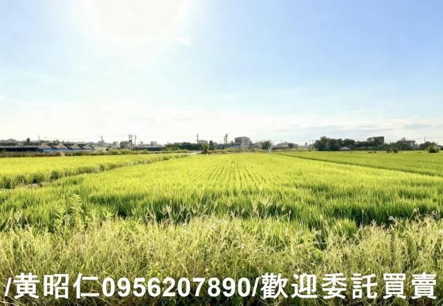 柳營農地-3