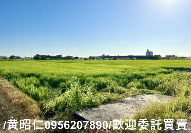 柳營農地-5