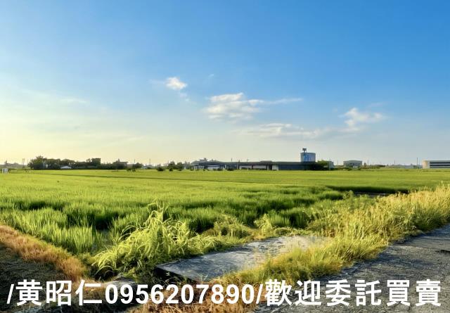 柳營農地-6
