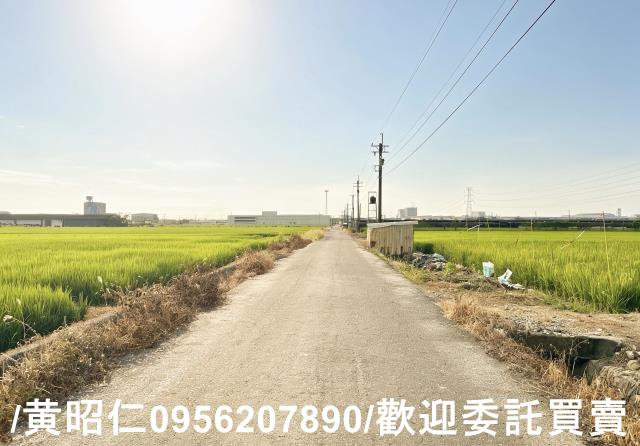 柳營農地-0