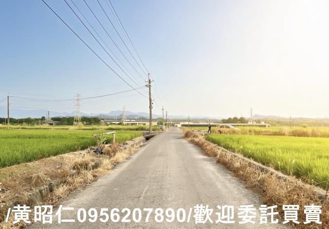 柳營農地-7