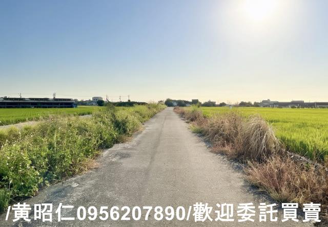 柳營農地-8