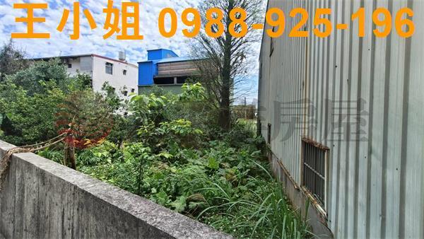 桃園建地-3