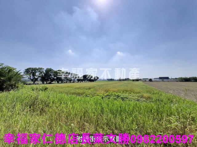 台南農地-6