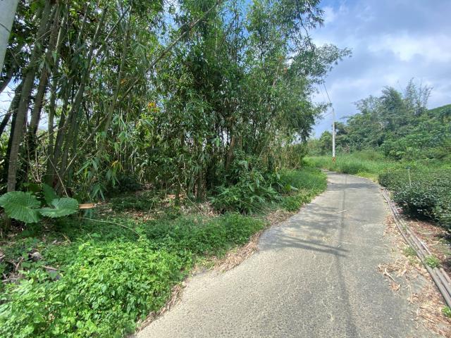 竹山鯉南路農地1甲7