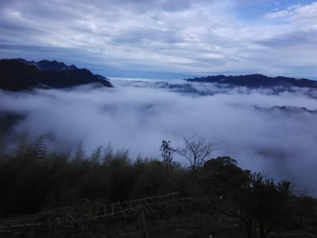 台中東勢農地-1