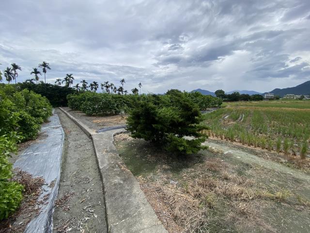 南投竹山農地-4