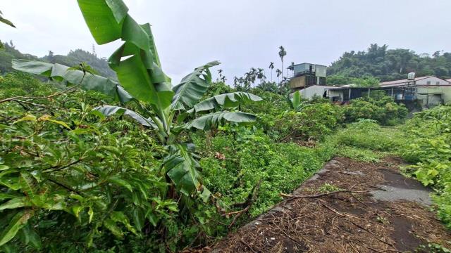 嘉義梅山農地-10