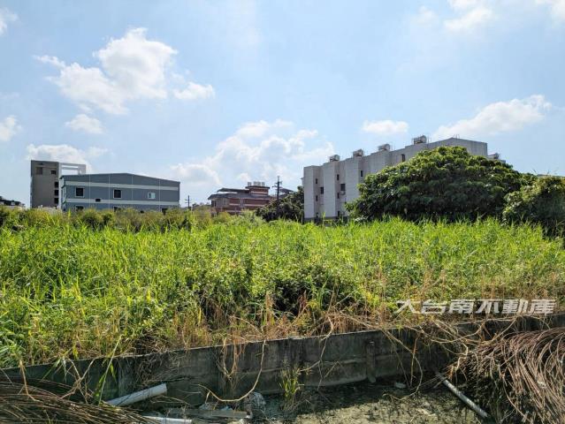 新市農地-9