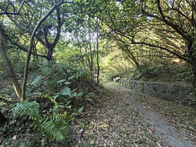 芎林林地-14