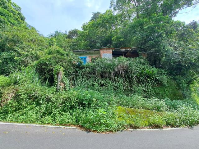 芎林林地-3