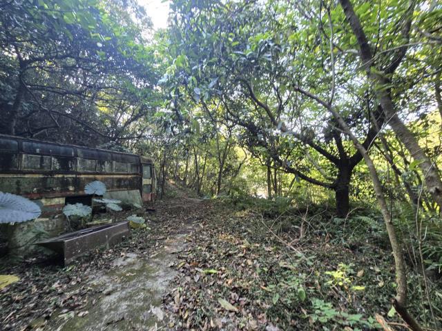 芎林林地-5
