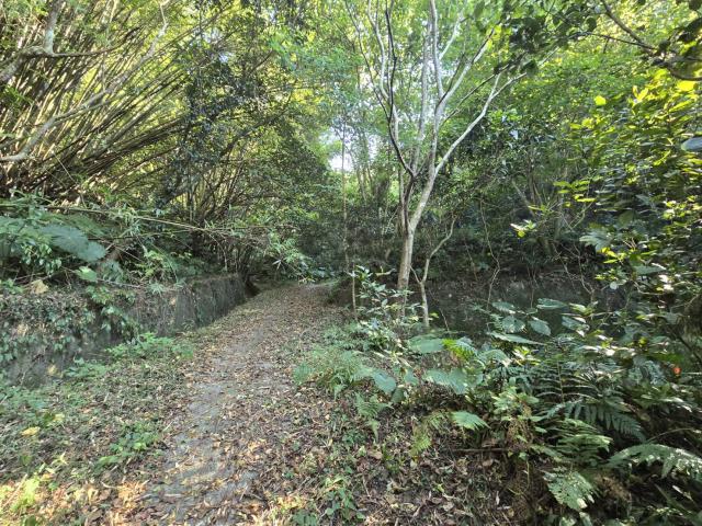 芎林林地-7